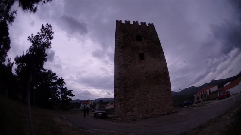 P5040075.jpg