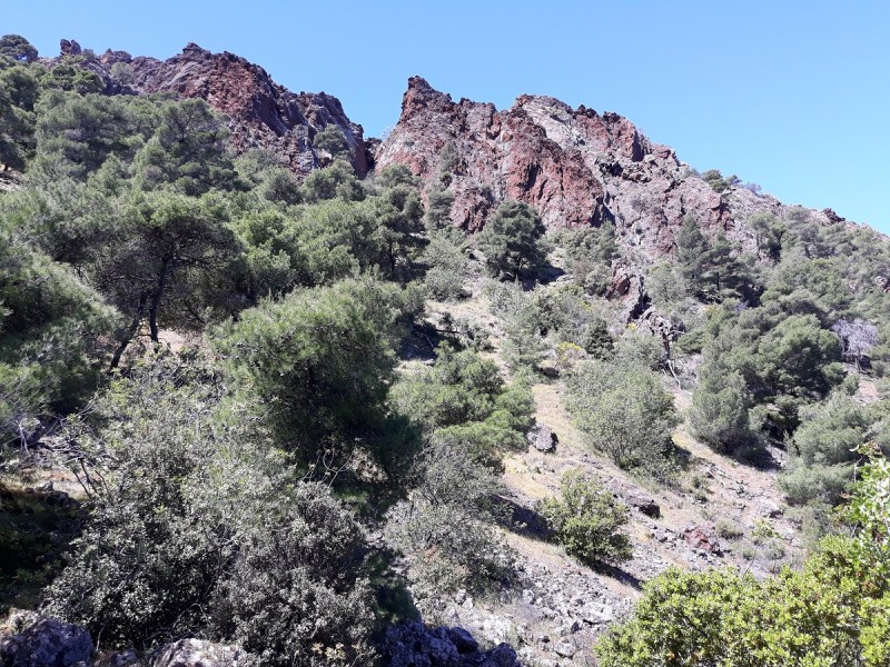 res 20190430_122322.jpg