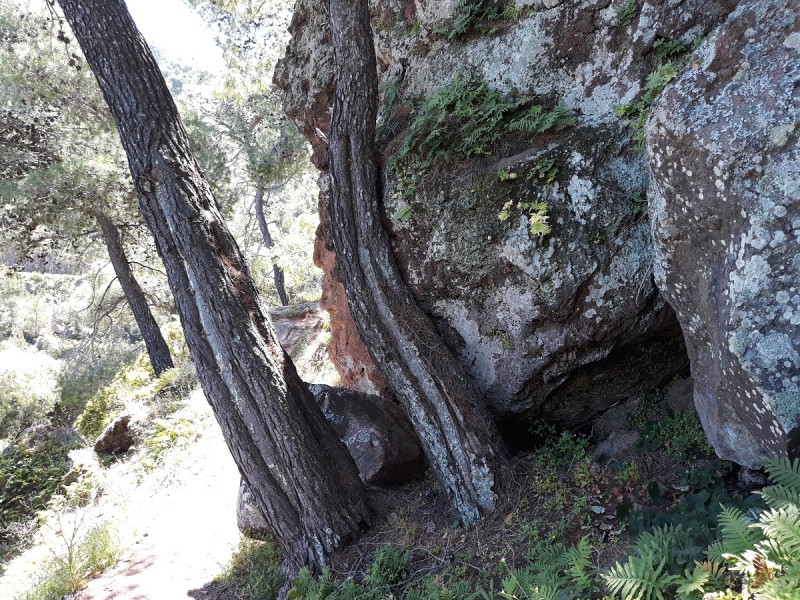 res 20190430_120653.jpg