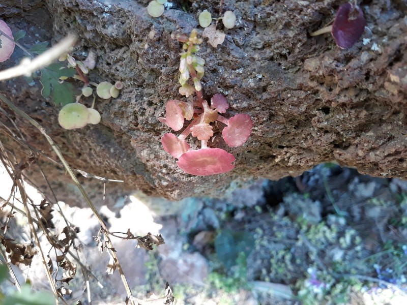 res 20190430_120918.jpg