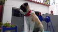 20190603_180837.jpg