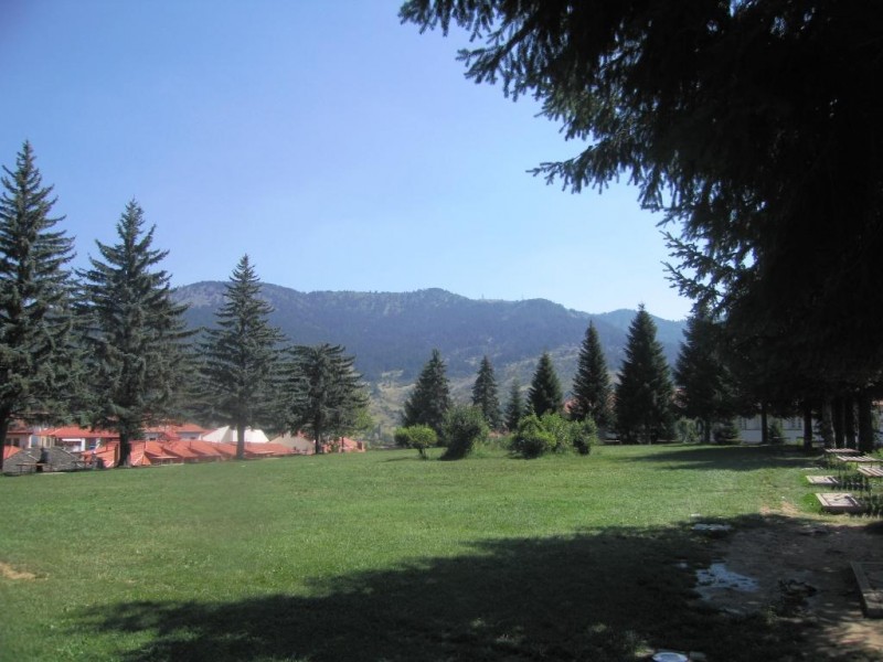 IMG_8878.jpg