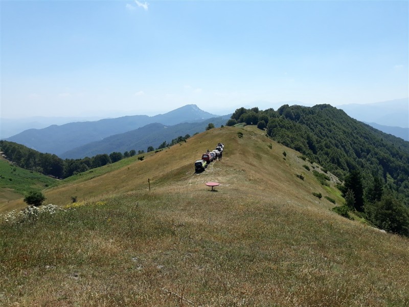 20190811_134733.jpg