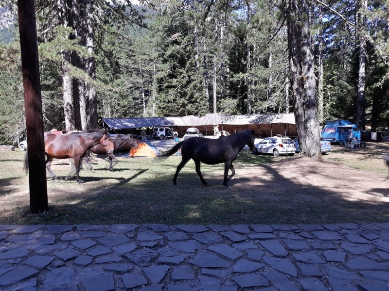 20190807_105809.jpg