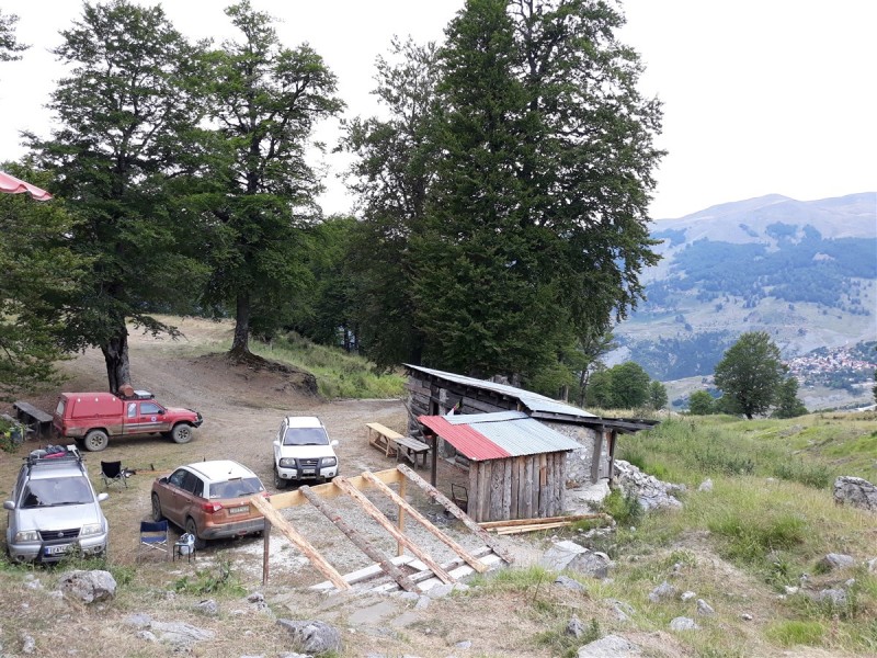 20190809_084250.jpg