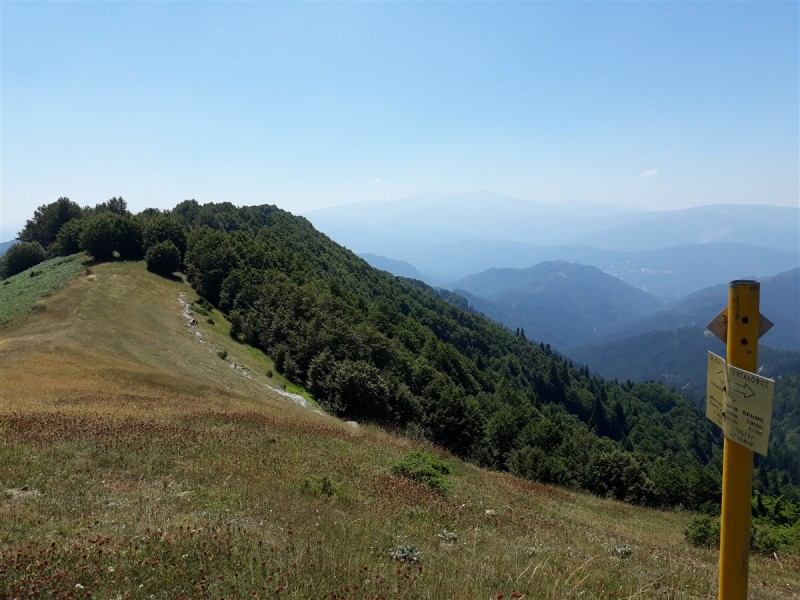 20190811_133419.jpg