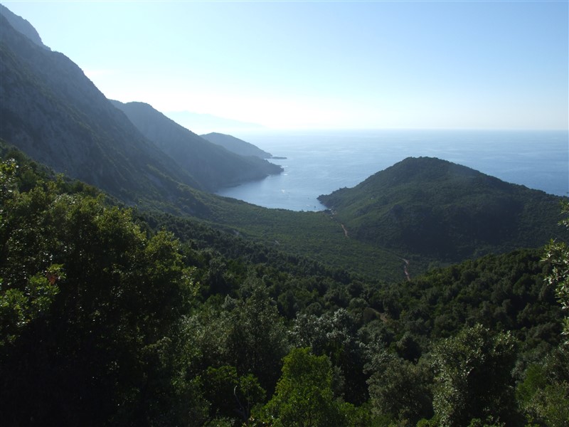DSCF7046.jpg