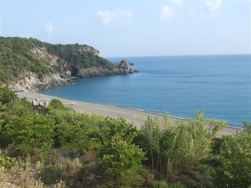 DSCF7094.jpg