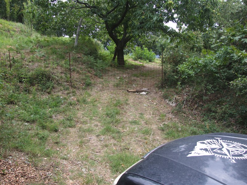 DSCF7129.jpg