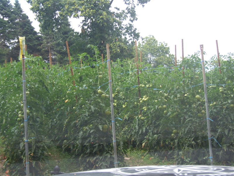 DSCF7149.jpg