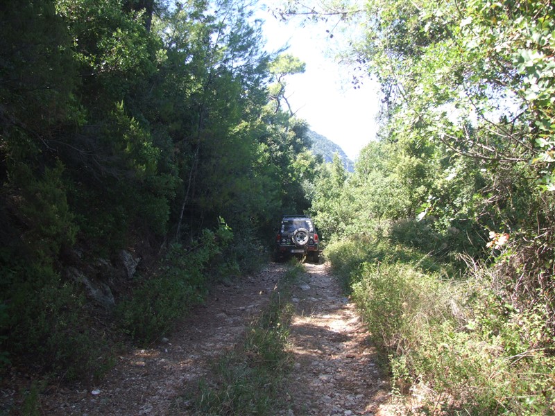 DSCF7155.jpg
