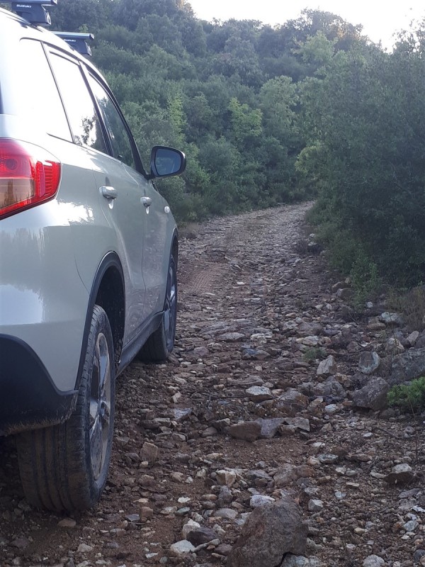 agios ant5.jpg