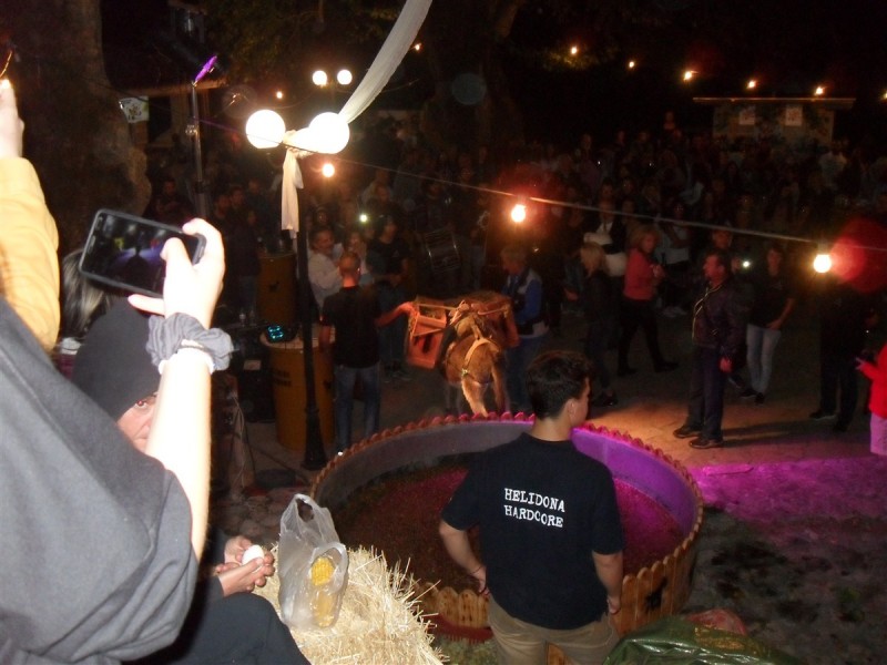 SDC14549_renamed_29641.jpg