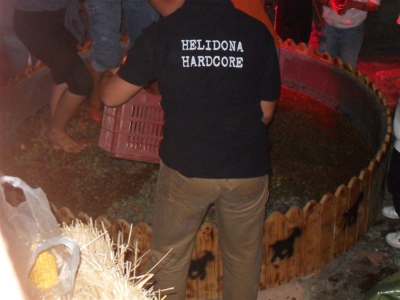 SDC14553_renamed_20019.jpg