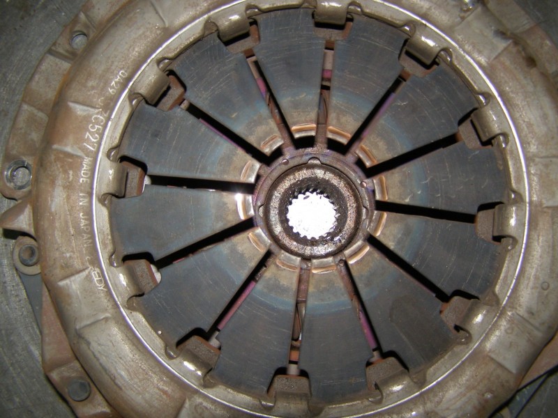 PA092515.jpg