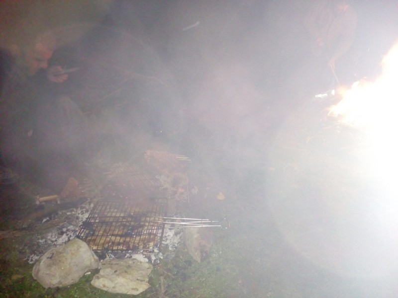 IMG_20191207_192416.jpg