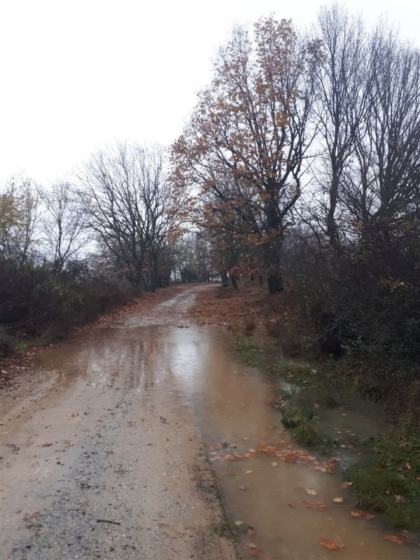 ditch.jpg