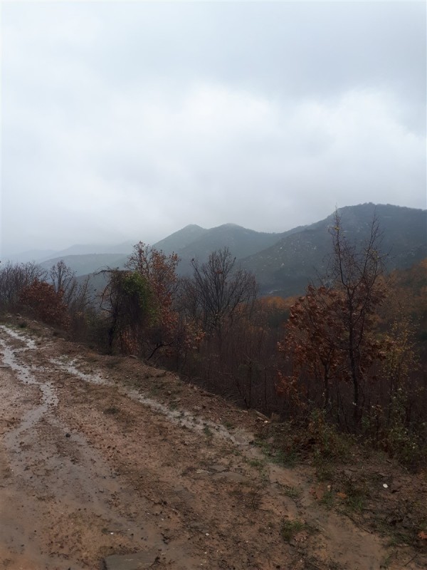 scenery1.jpg