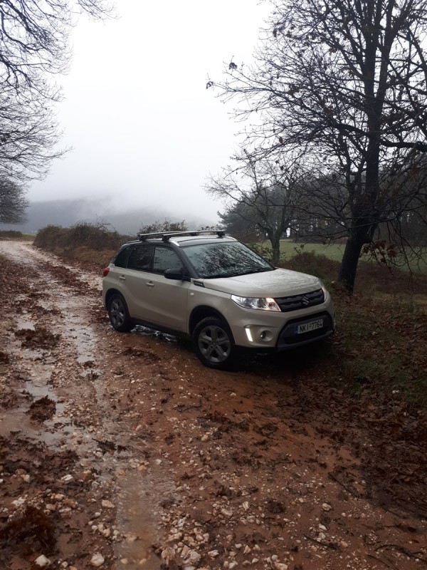 stretch suspension.jpg