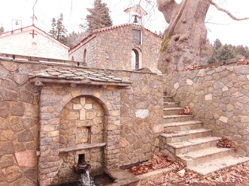 res 20191222_095420.jpg