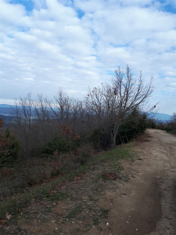 20191228_112414 (900 x 1200).jpg