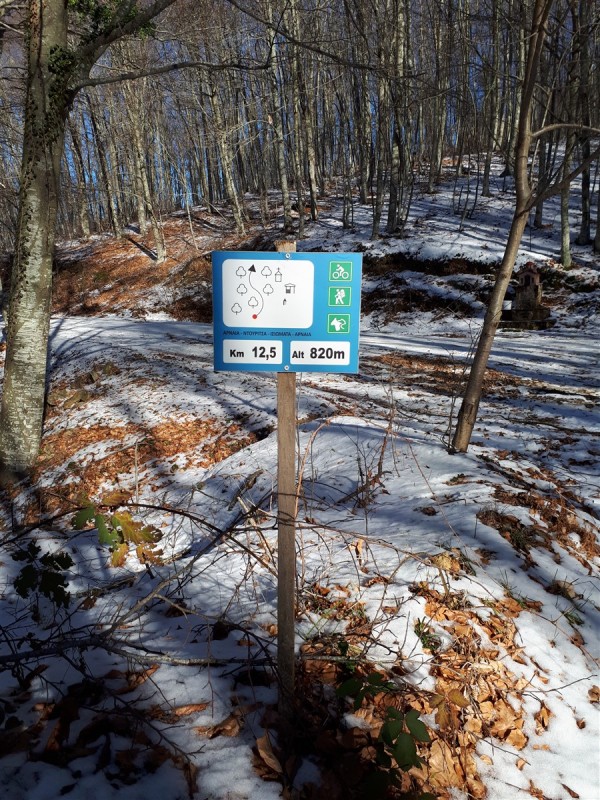 20200110_140313 (900 x 1200).jpg