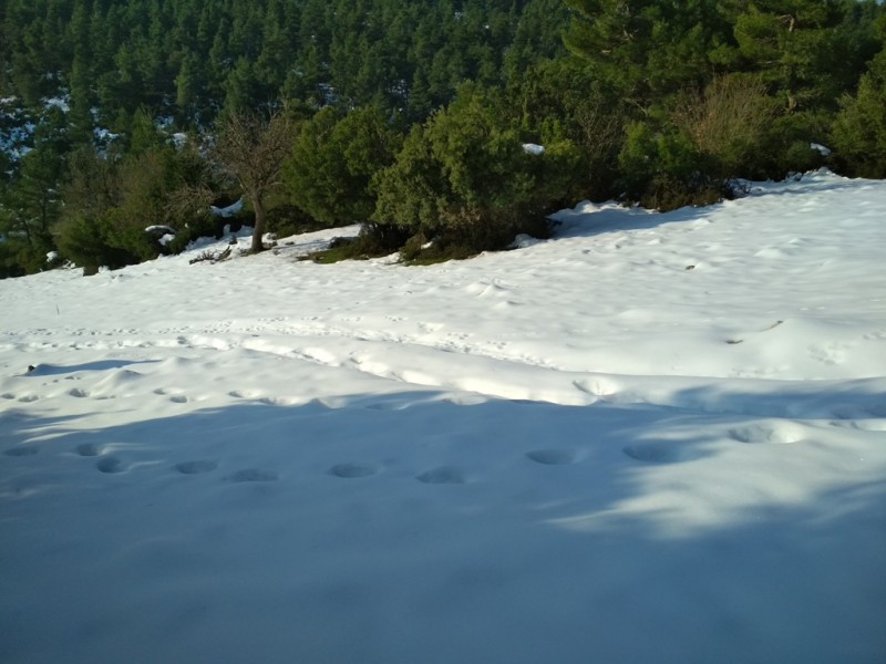 IMG_20200112_100018.jpg