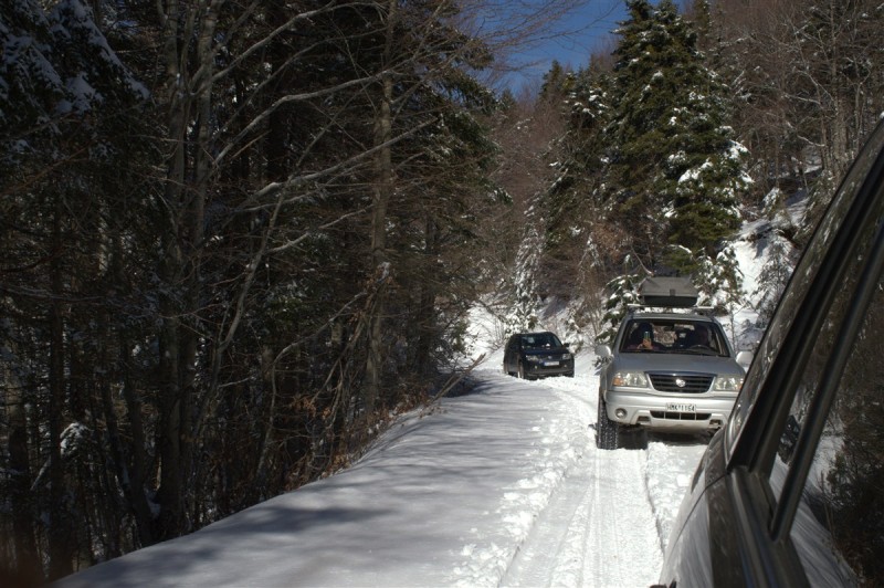 DSC_0918.jpg