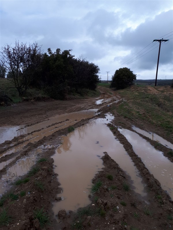 mud trail.jpg