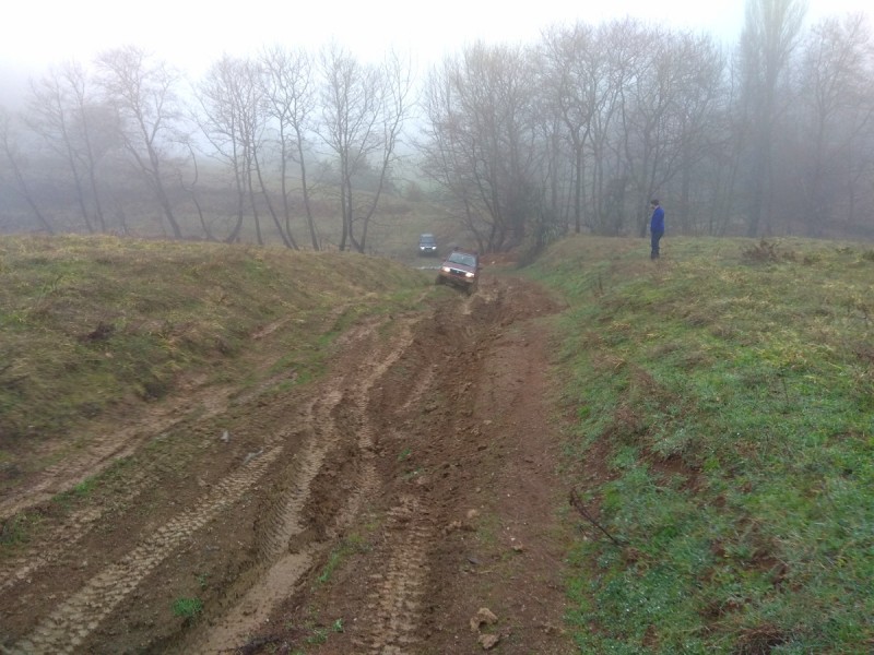 IMG_20200315_153018.jpg