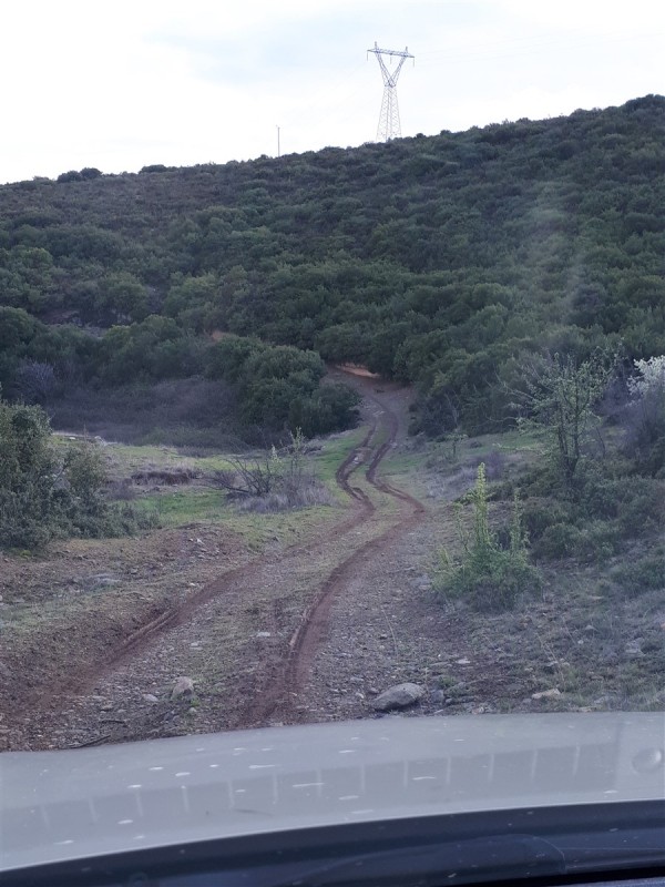 muddy downhill.jpg