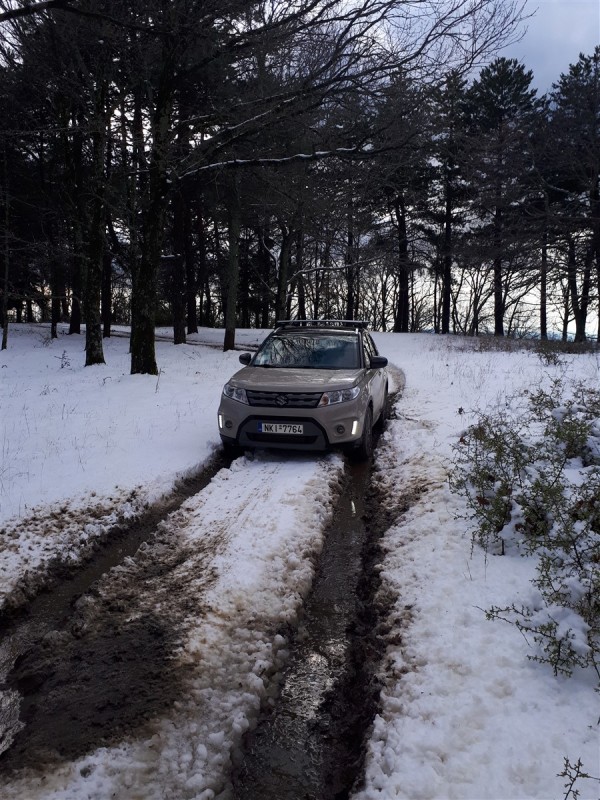 deep snow.jpg