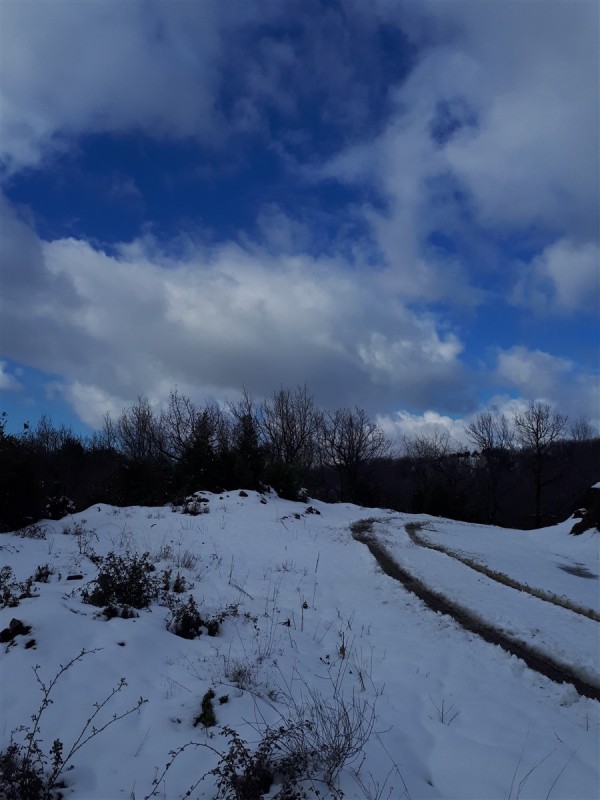 uphill.jpg