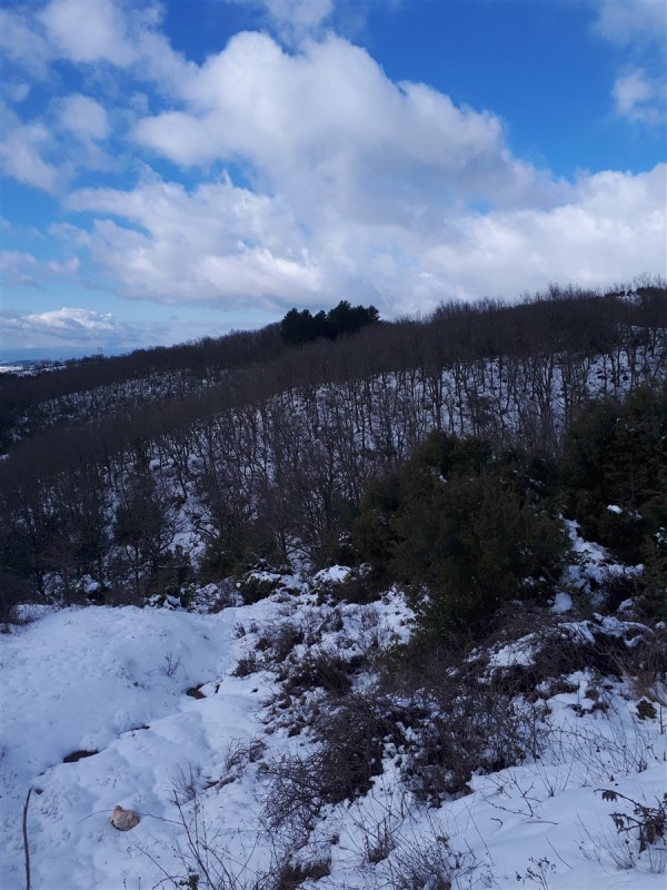 white slope.jpg