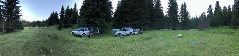 IMG_8071.jpg