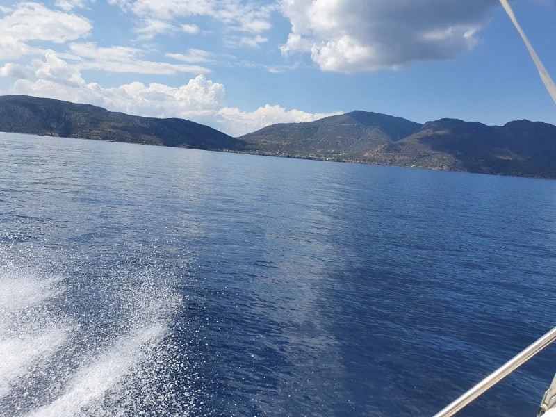 20200808_144437.jpg