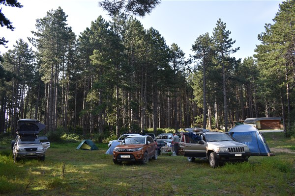 DSC_0007 (600 x 400).jpg