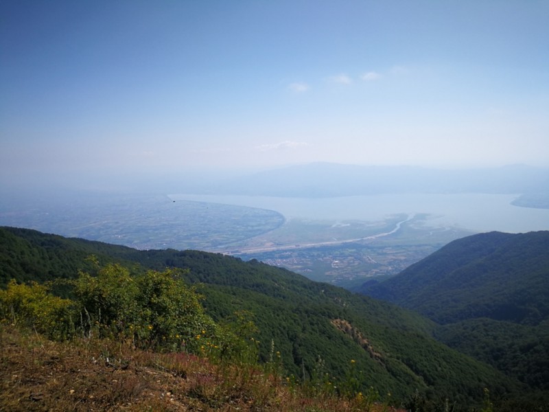 2020-08-04 15.45.52.jpg