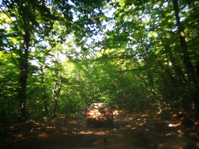 2020-08-04 17.06.35.jpg