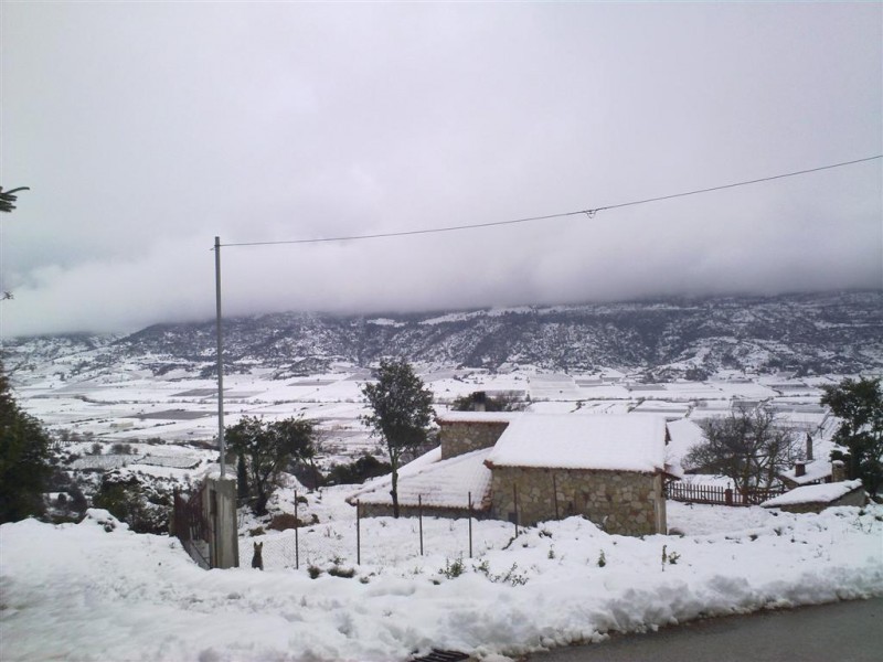 22012010067 (Large).jpg
