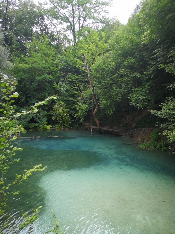 2020-08-05 12.53.50.jpg