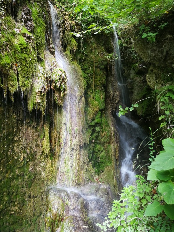 2020-08-05 13.00.10.jpg