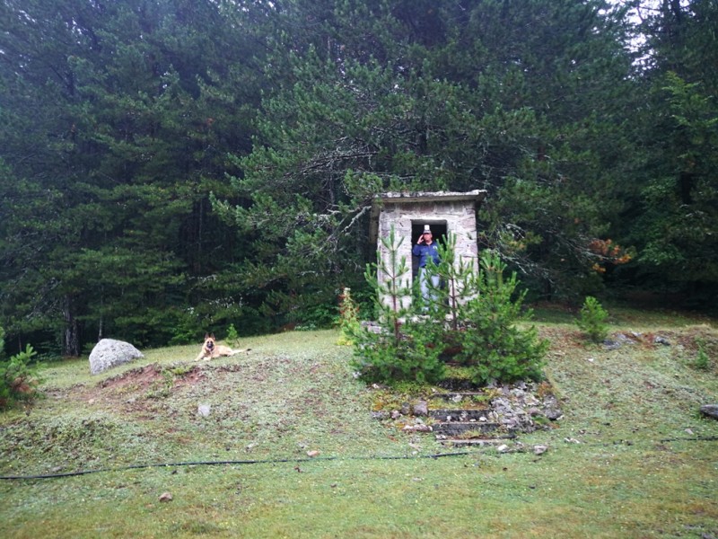 2020-08-06 18.52.34.jpg