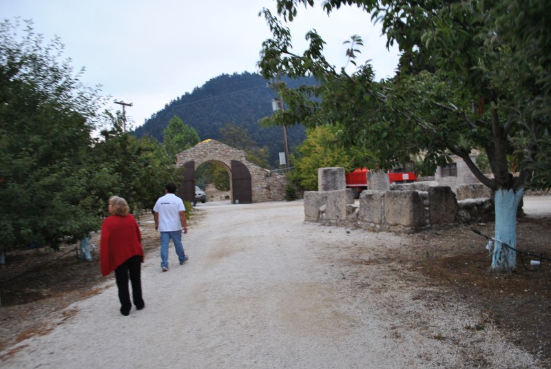 DSC_3108.jpg