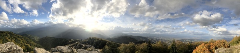 IMG_8351.jpg