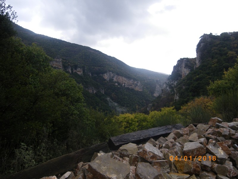IMGP0824.JPG