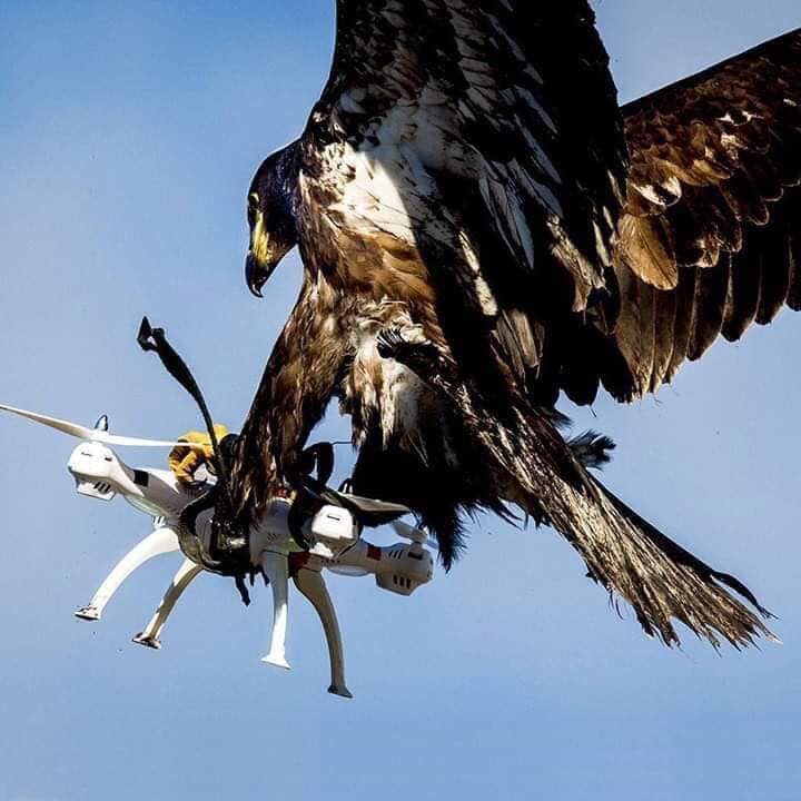 Αετός - drone 1-0.jpg