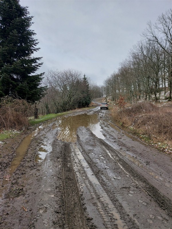mud trails.jpg