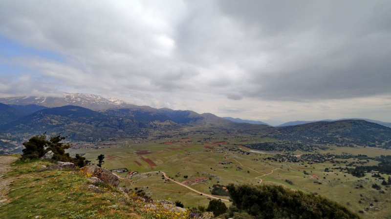 IMG_1022_1.jpg