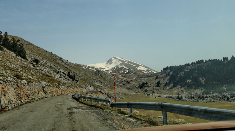 IMG_1059.jpg